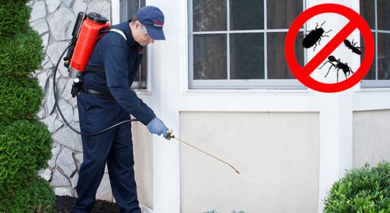 Gölköy Haşere İlaçlama böcek ilaçlama ve haşere kontrolü — ilaclama-tr.com
